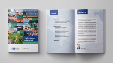 Guia Setorial Am Rica Latina E Caribe